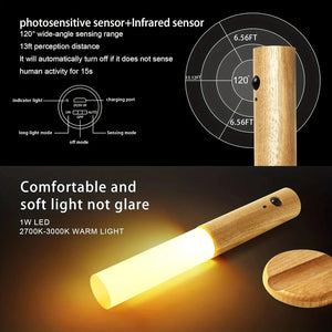 Motion Sensor Torch Light